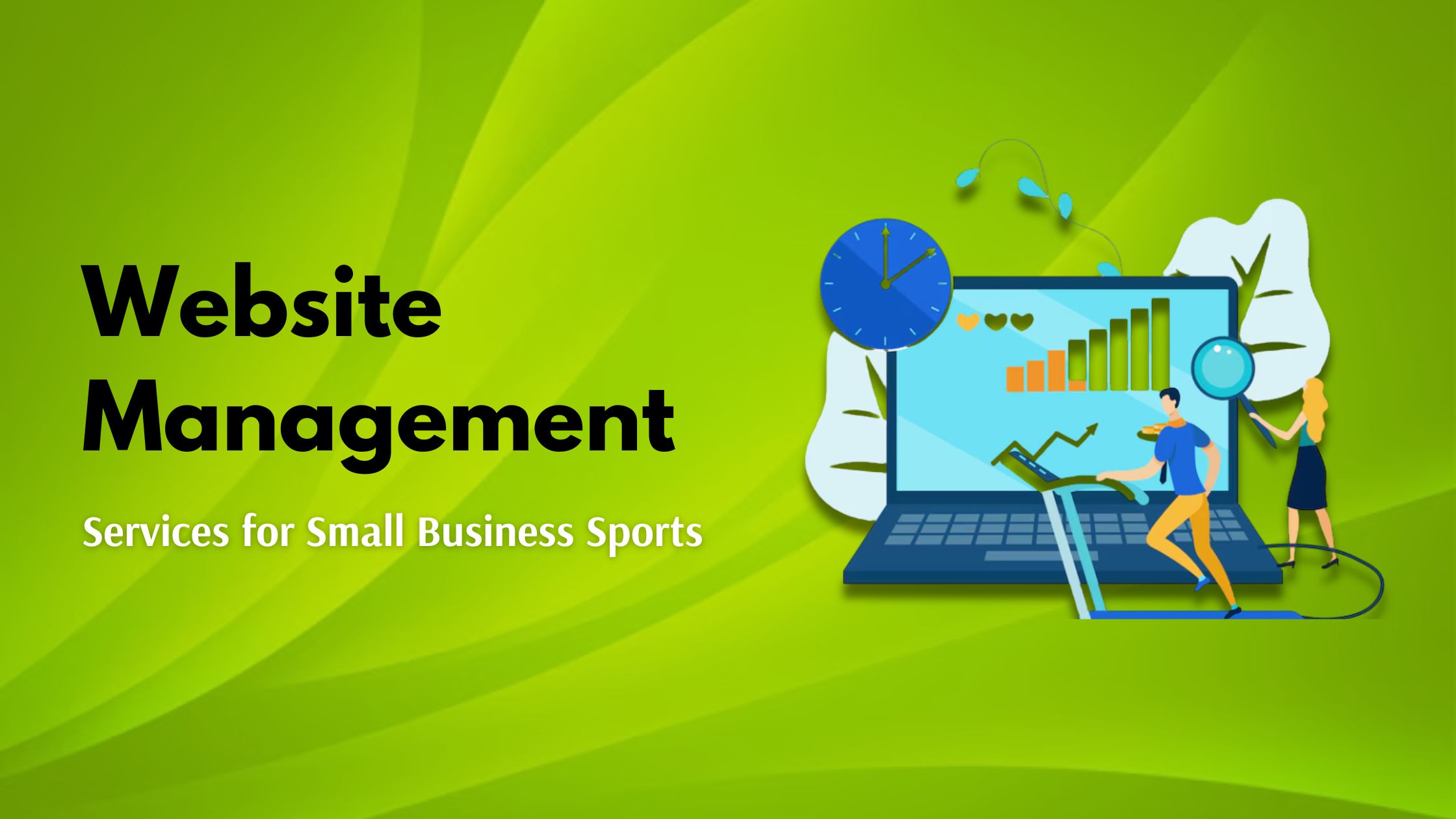 Website Management Services for Small Business Sports